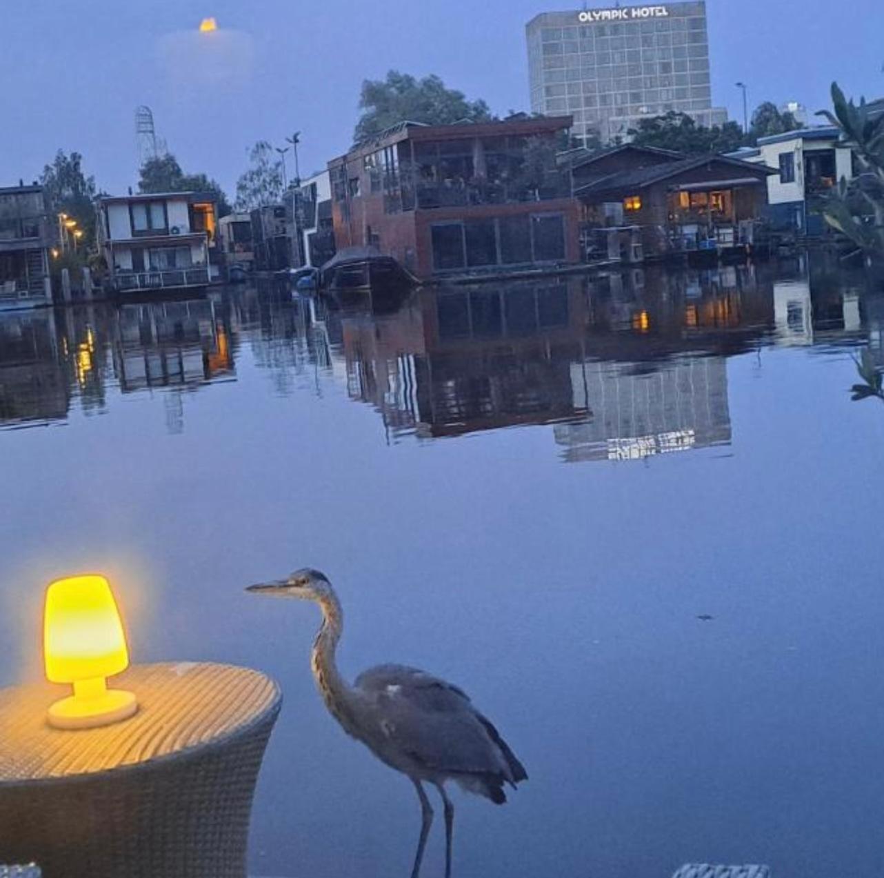 The New Lake Boathouse أمستردام المظهر الخارجي الصورة